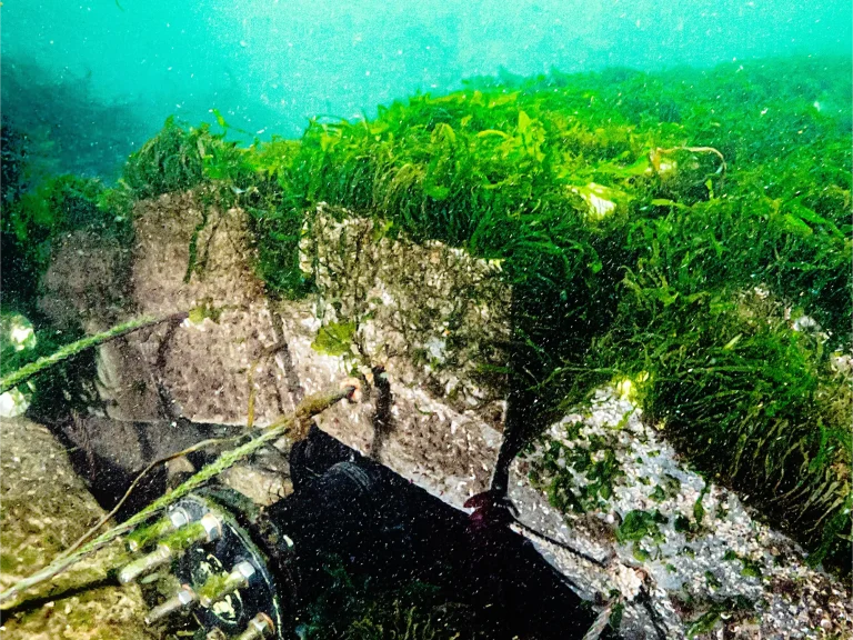 2502_reef_mats_underwater