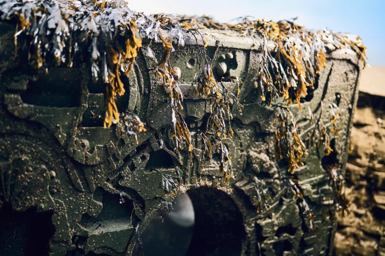 arc_marine_details-reef-cube-coastal