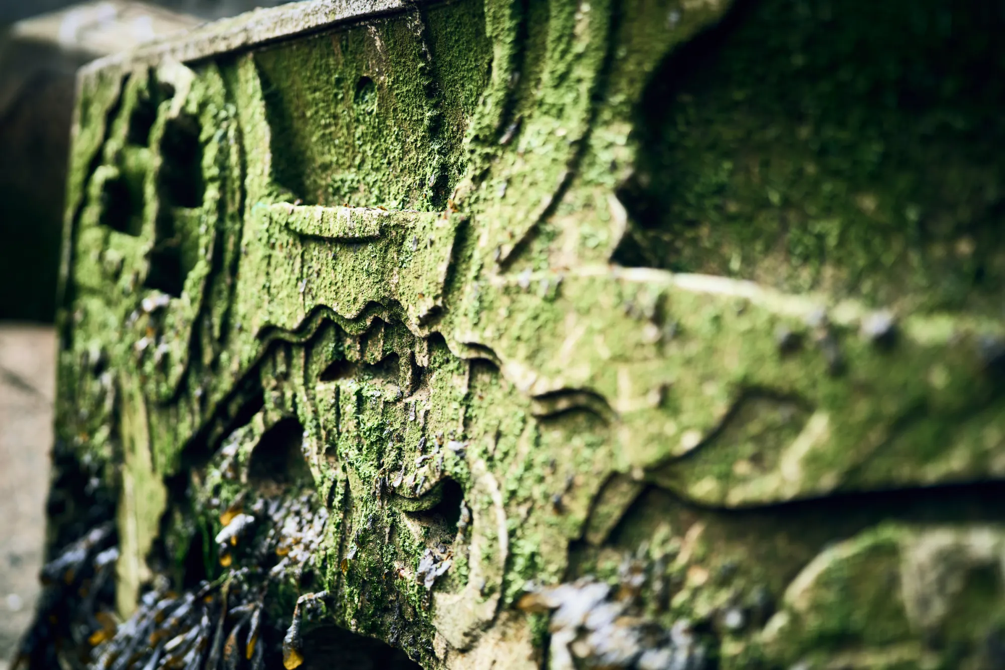 arc_marine_newlyn_nature-inclusive-reef-cube