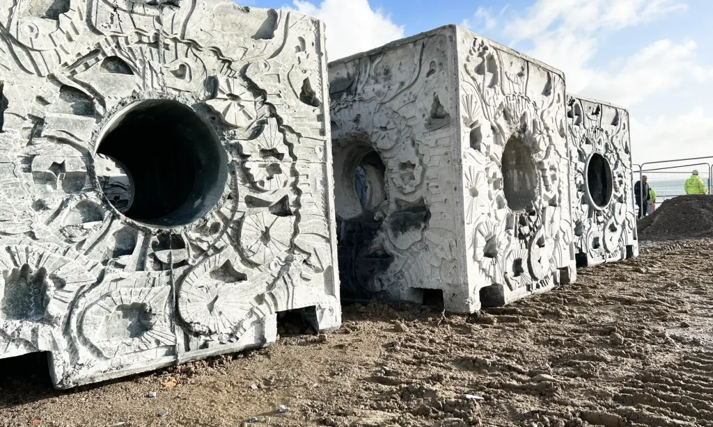 intertidal-reef-cube