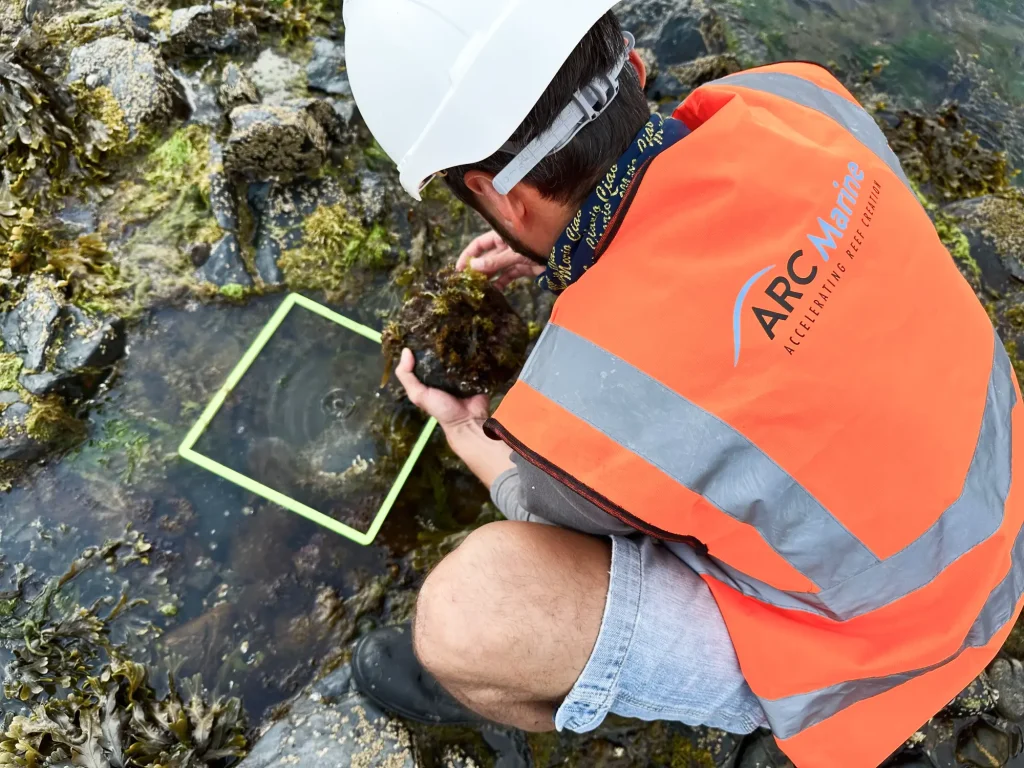 monitoring-surveys-arc-marine-baseline-test