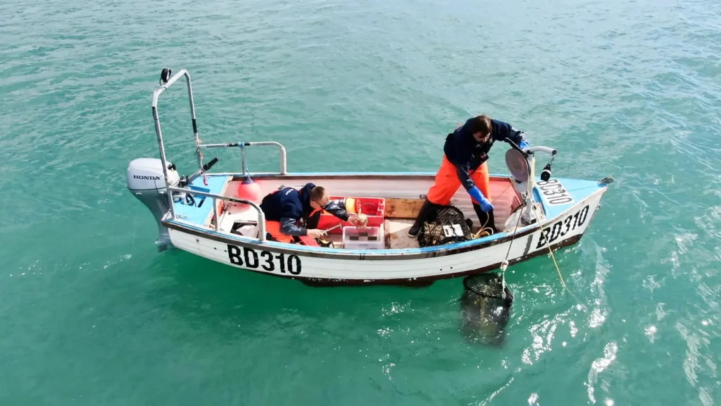 monitoring-surveys-arc-marine-fishing-testing