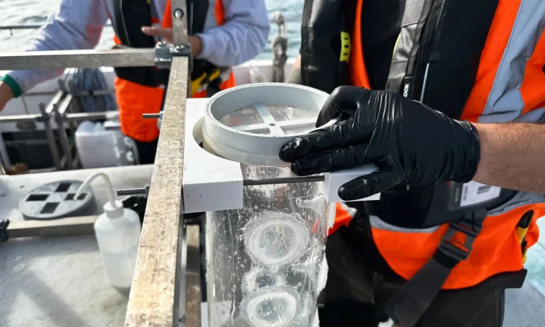 monitoring-surveys-arc-marine-testing