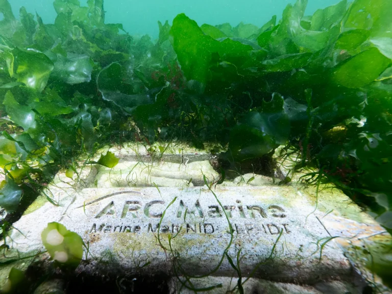 nature-inclusive-design-reef-cube