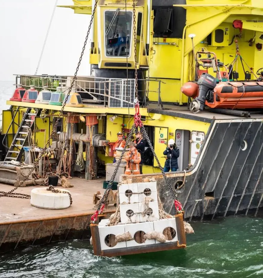 reef-cubes-combo-deployment-offshore