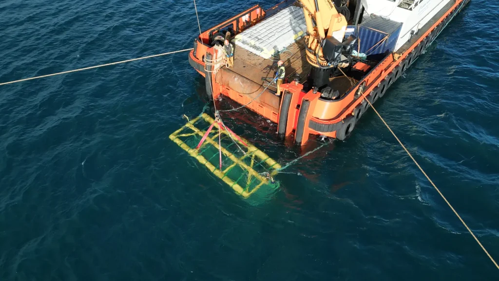 reef-mats-deployment