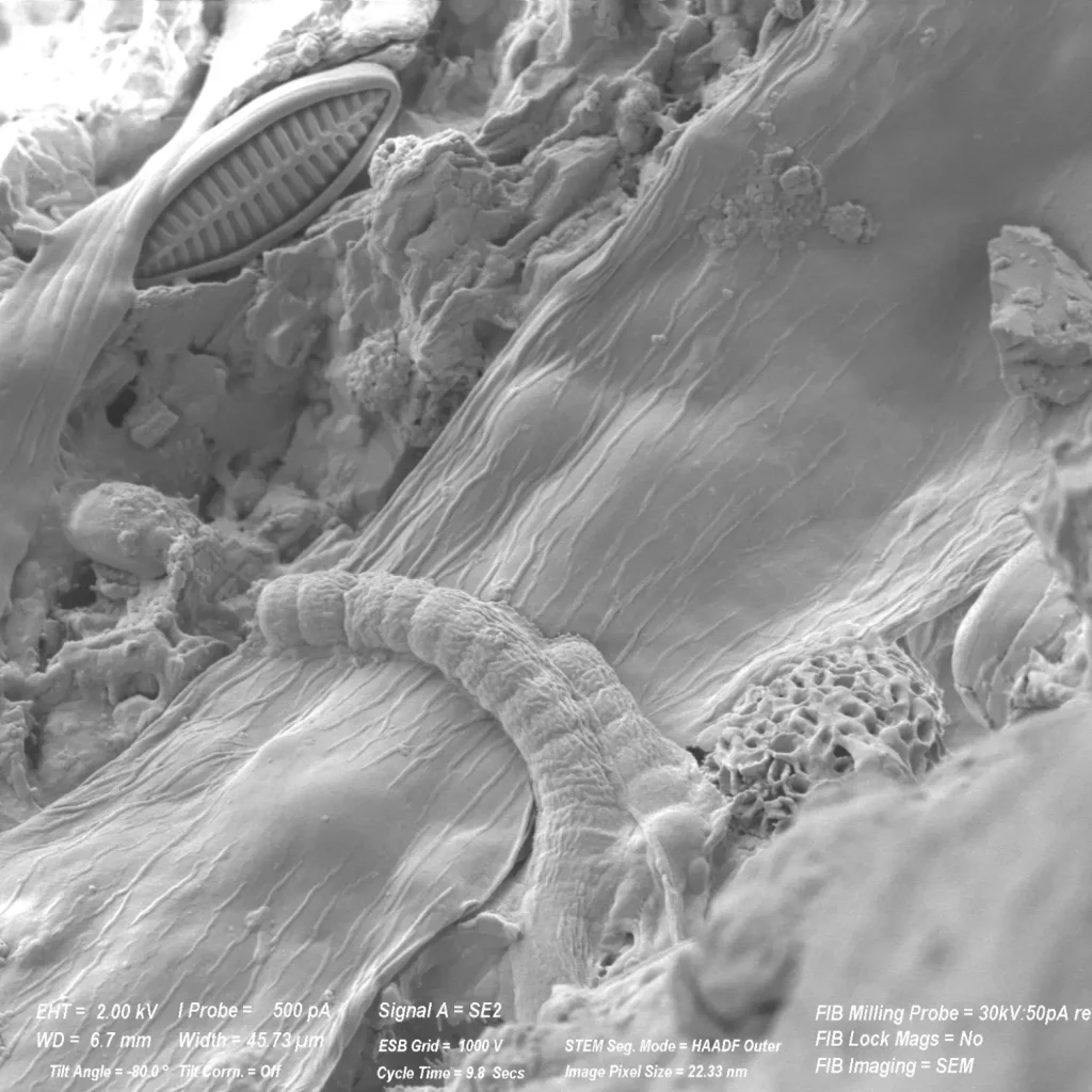 scientific-microscope-close-labs-marine