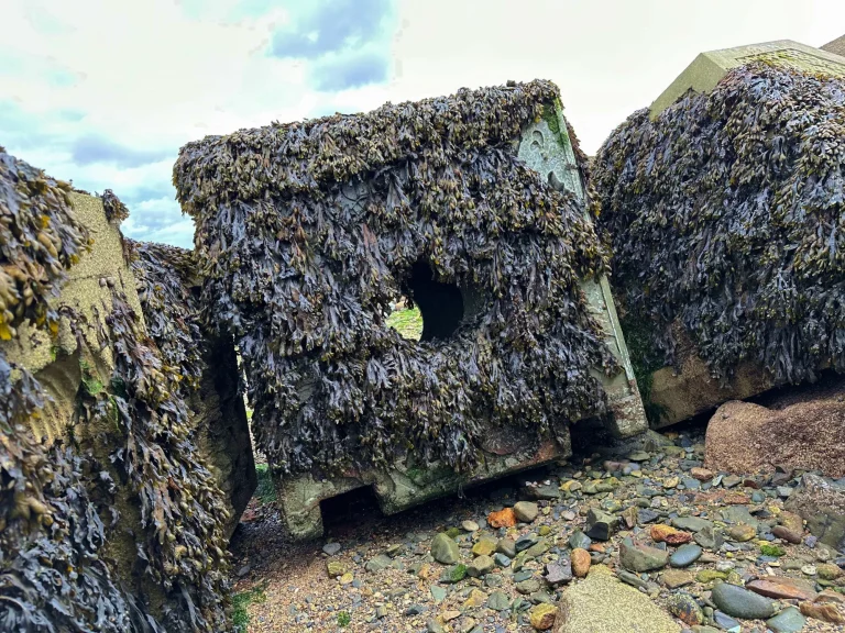 sea-coastal-defence-image-cubes-coast