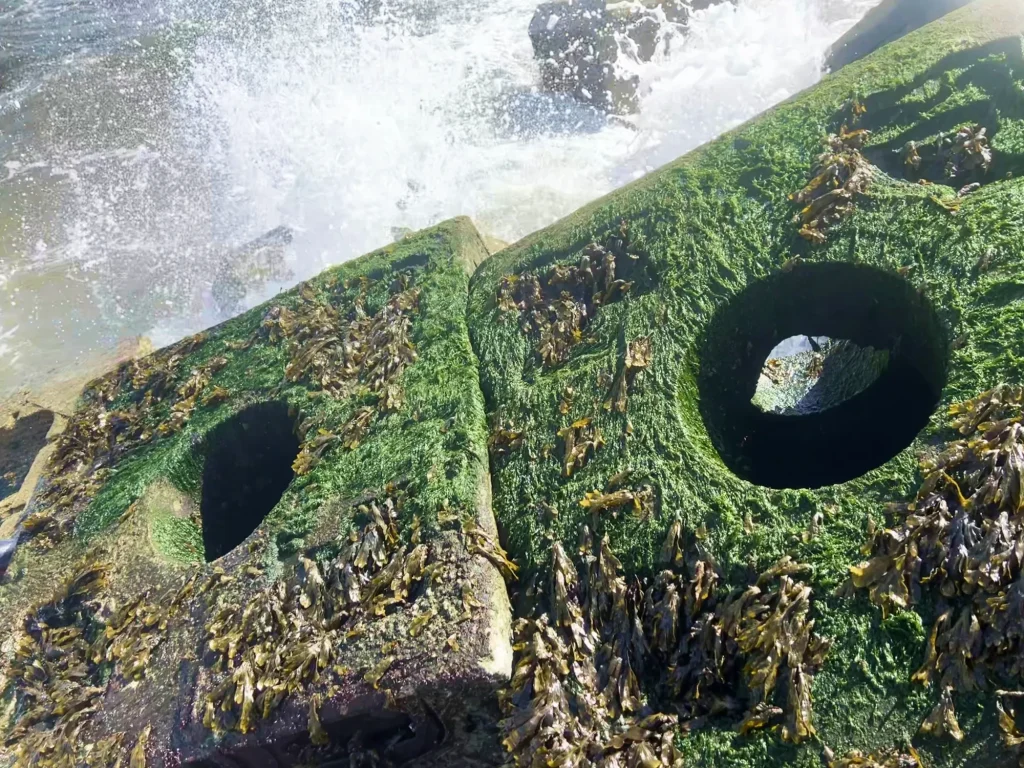 sea-coastal-defence-image-reef-cube