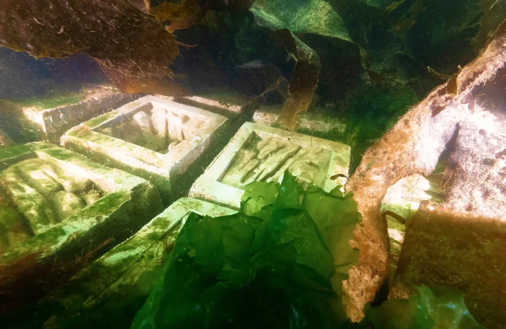 underwater-reef-mats-growth-marine-life