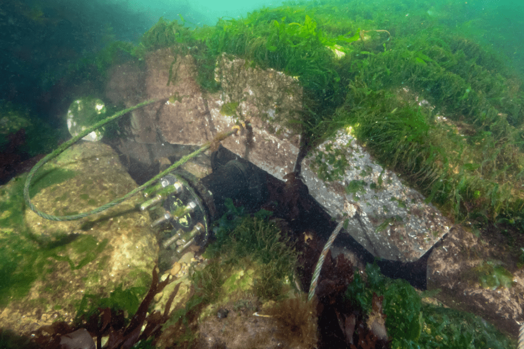 ARC marine Nature Inclusive Design Reef mat